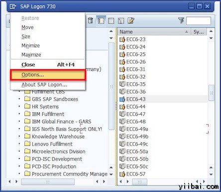 SAP Logon Option