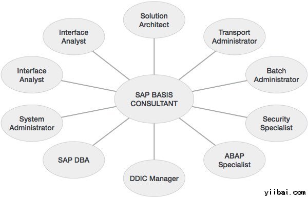 SAP Basis Consultant