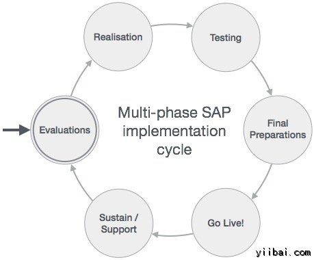 SAP Multiphase Project Lifecycle